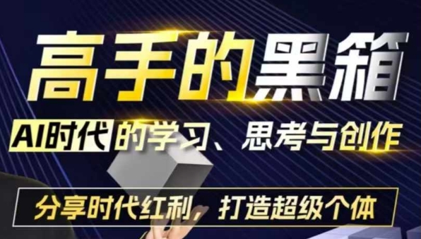 高手的黑箱：AI时代学习、思考与创作-分红时代红利，打造超级个体-百盟网