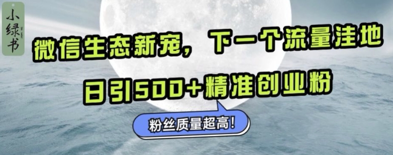 微信生态新宠小绿书：下一个流量洼地，日引500+精准创业粉，粉丝质量超高-百盟网