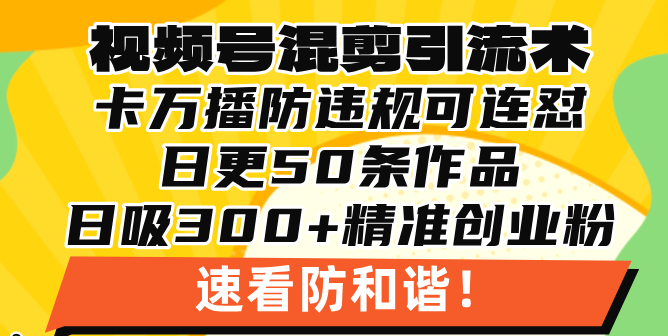 视频号混剪引流技术，500万播放引流17000创业粉，操作简单当天学会-百盟网