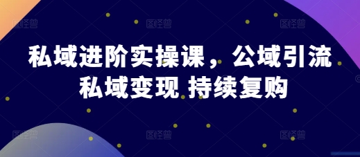 私域进阶实操课，公域引流 私域变现 持续复购-百盟网