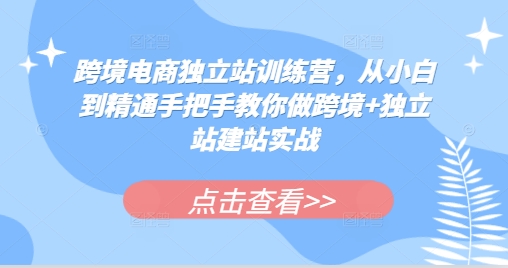 跨境电商独立站训练营，从小白到精通手把手教你做跨境+独立站建站实战-百盟网