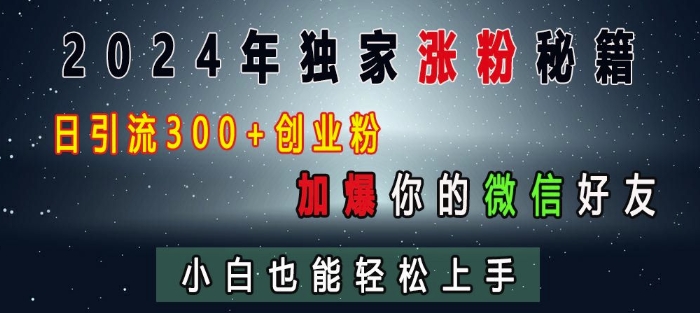 2024年独家涨粉秘籍，日引流300+创业粉，加爆你的微信好友，小白也能轻松上手-百盟网