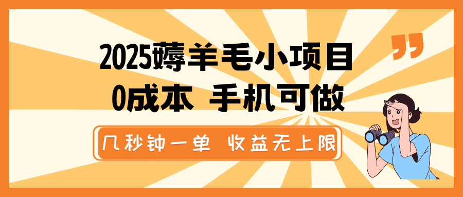 2025薅羊毛小项目，0成本 手机可做，几秒钟一单，收益无上限-百盟网