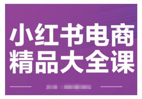 小红书电商精品大全课，快速掌握小红书运营技巧，实现精准引流与爆单目标，轻松玩转小红书电商(更新2月)-百盟网