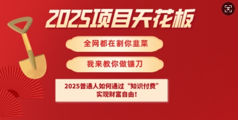 2025项目天花板普通人如何通过知识付费，实现财F自由【揭秘】-百盟网